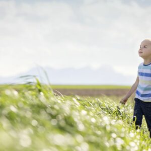 Cent pour Sang la Vie contre la Leucémie