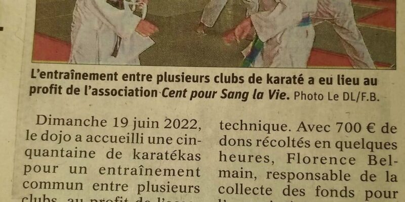 Entraînement solidaire au karaté club