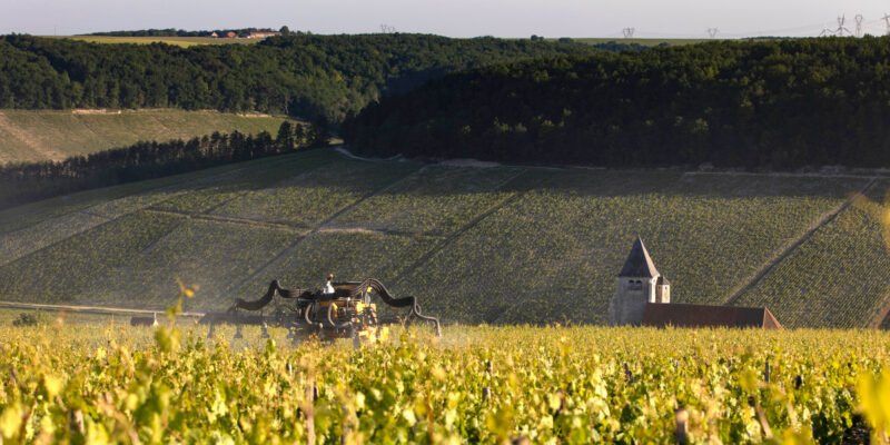 Leucémies aiguës chez les enfants : l'Inserm fait le lien avec l'usage des pesticides dans les vignes