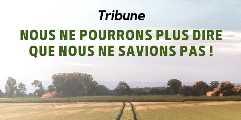 Nous ne pourrons plus dire que nous ne savions pas