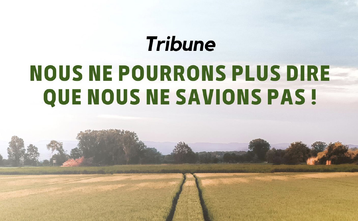 Nous ne pourrons plus dire que nous ne savions pas